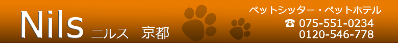 ペットシッター ペットホテル ペットタクシー ニルス　京都 東山 散歩 