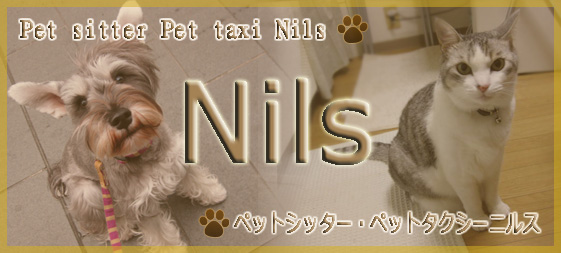 ペットシッター ペットシッター ペットホテル ペットタクシー ニルス　京都 東山 散歩 