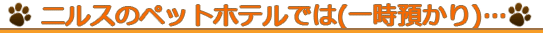 ニルスのペットホテルでは…