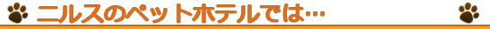 ニルスのペットホテルでは…