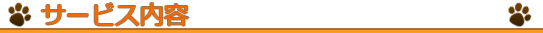 サービスの内容