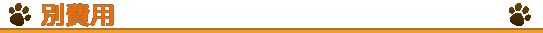 別費用