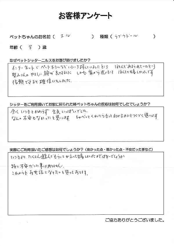 ���q�l�A���P�[�g