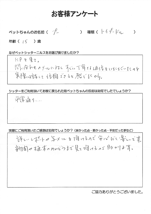 ���q�l�A���P�[�g