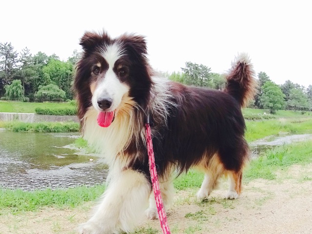 �T���v���摜