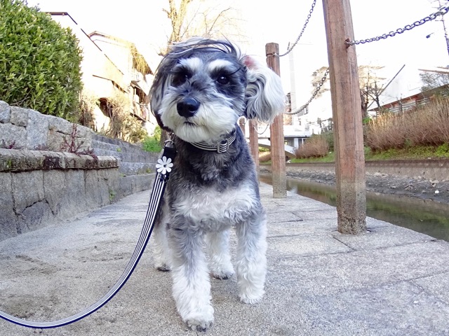 �T���v���摜