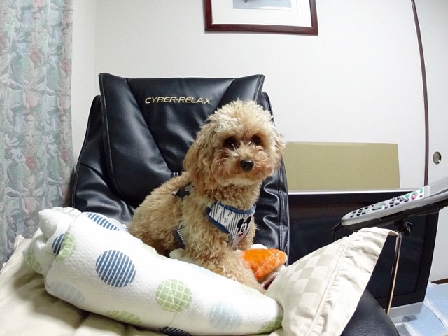 �T���v���摜